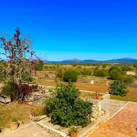En Mallorca Con Piscina Privada Susacasa