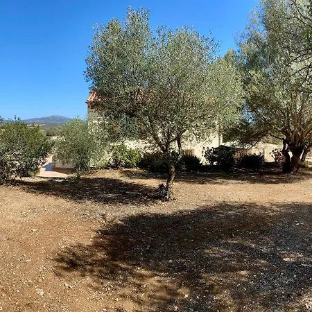 En Mallorca Con Piscina Privada Susacasa